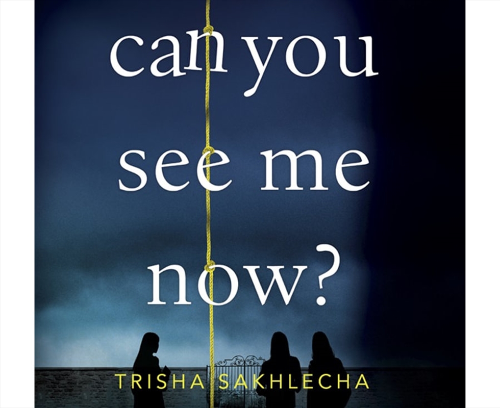 Can You See Me Now?/Product Detail/Crime & Mystery Fiction