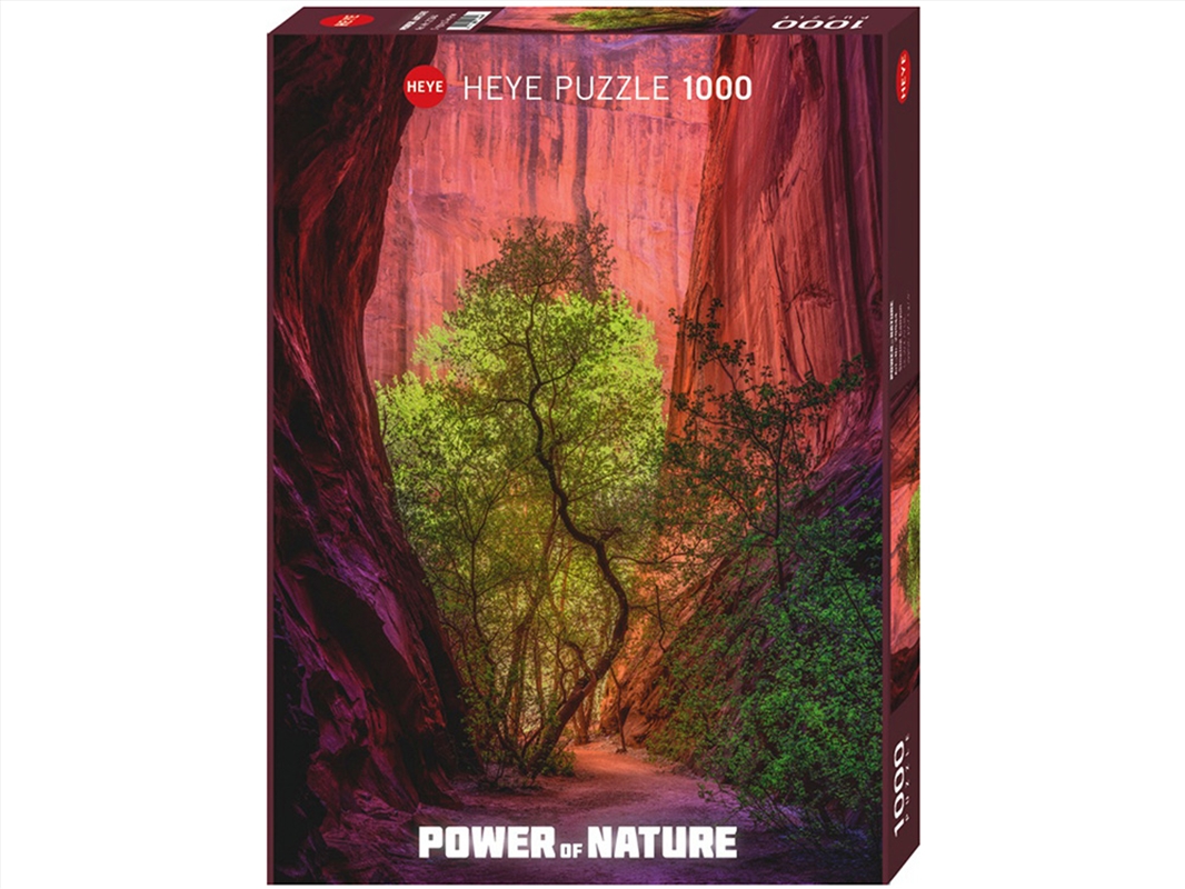 Power Of Nature Singing Canyon 1000 Piece/Product Detail/Jigsaw Puzzles