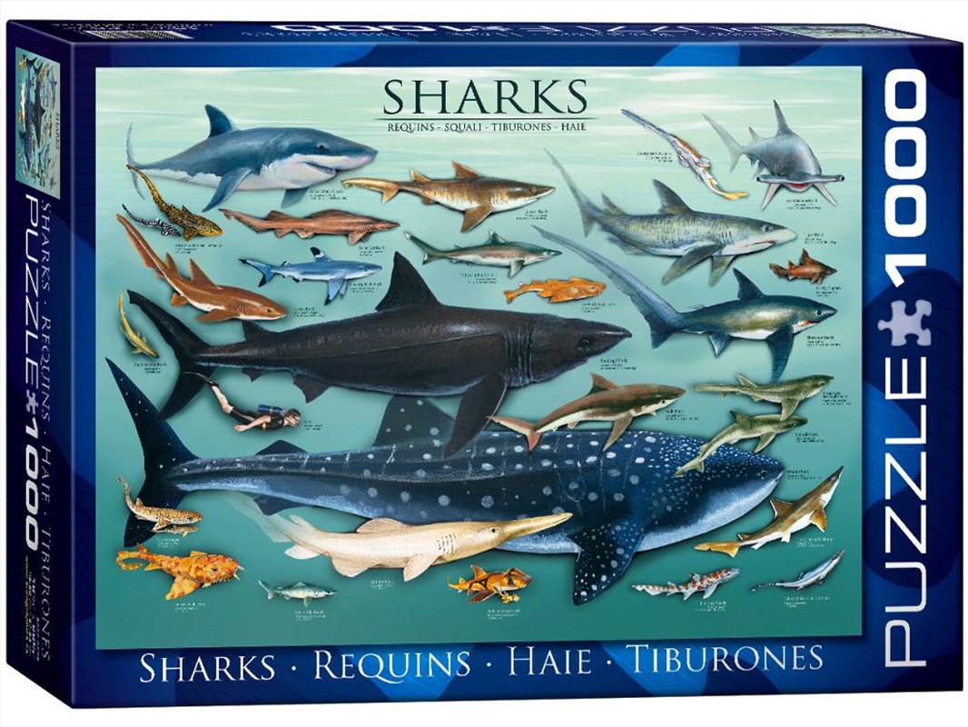 Sharks 1000 Piece/Product Detail/Jigsaw Puzzles