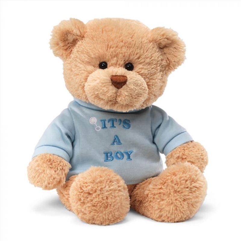 It's A Boy Blue 30cm/Product Detail/Plush Toys