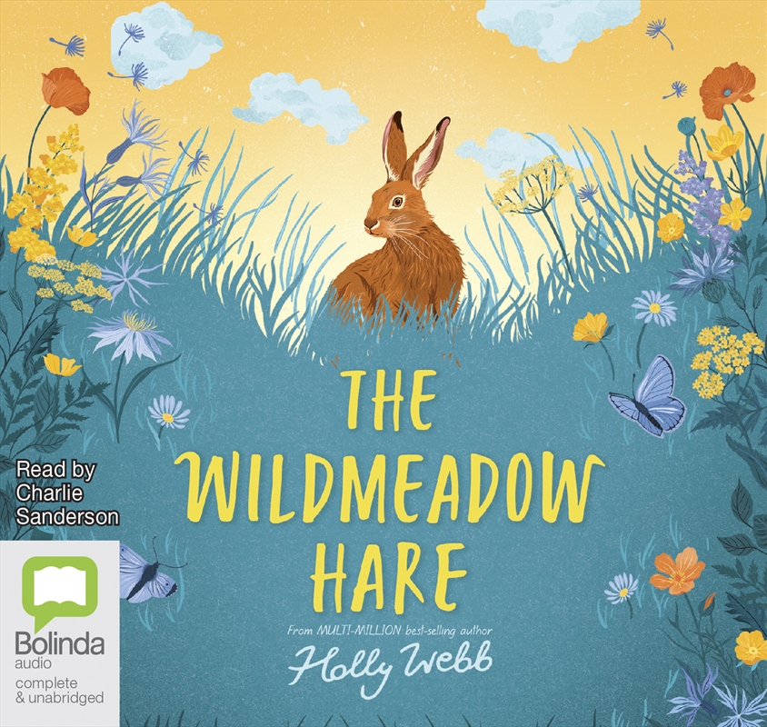 Wildmeadow Hare, The/Product Detail/Childrens Fiction Books