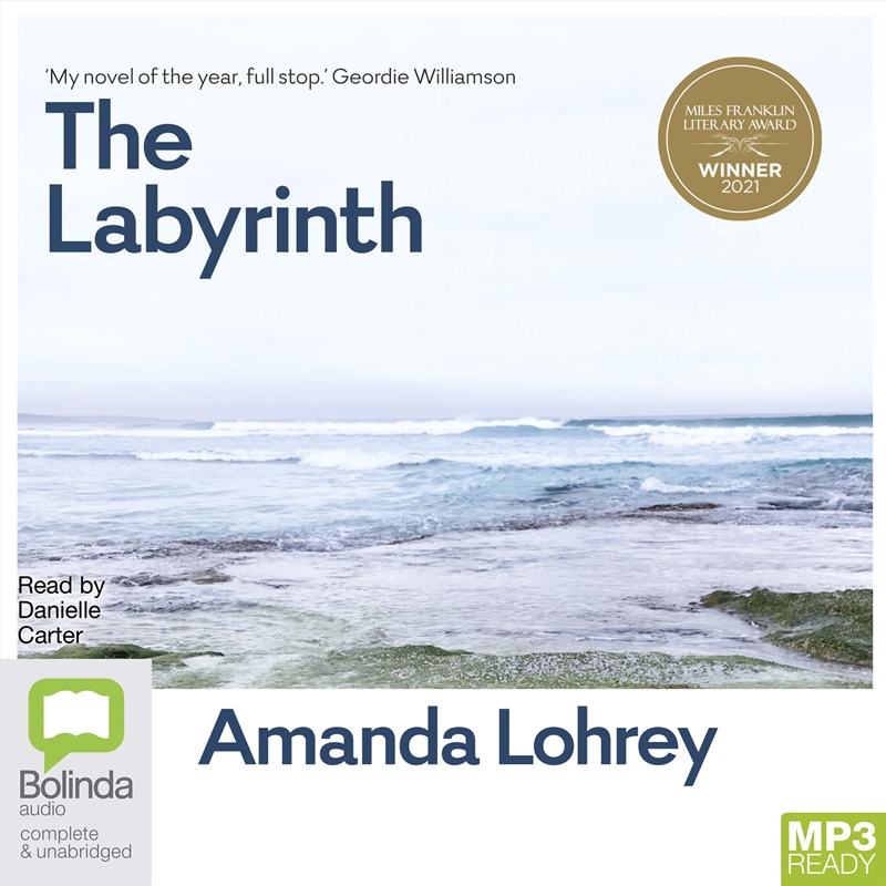 Labyrinth, The/Product Detail/Literature & Plays