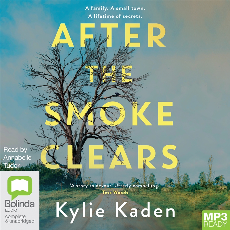 After the Smoke Clears/Product Detail/Thrillers & Horror Books