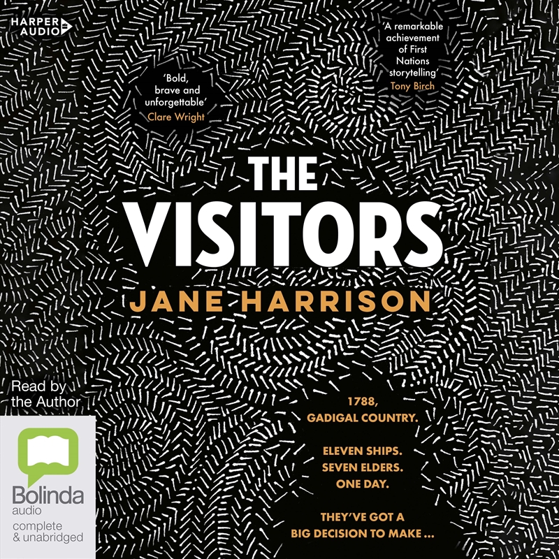 Visitors, The/Product Detail/Australian Fiction Books