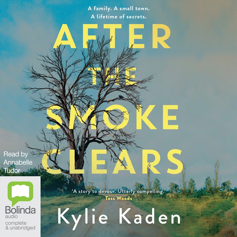 After the Smoke Clears/Product Detail/Thrillers & Horror Books