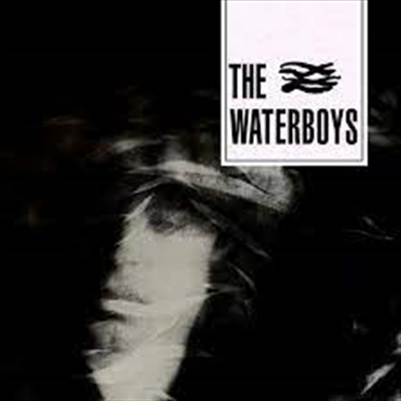 Waterboys/Product Detail/Rock