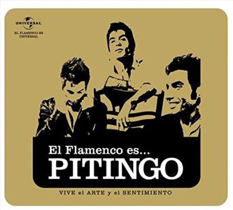 El Flamenco Es Pitingo/Product Detail/Rock/Pop