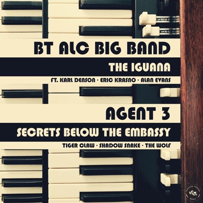 Iguana / Secrets From Below T/Product Detail/R&B