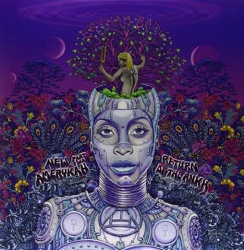 New Amerykah Part Two: Return Of The Ankh/Product Detail/R&B