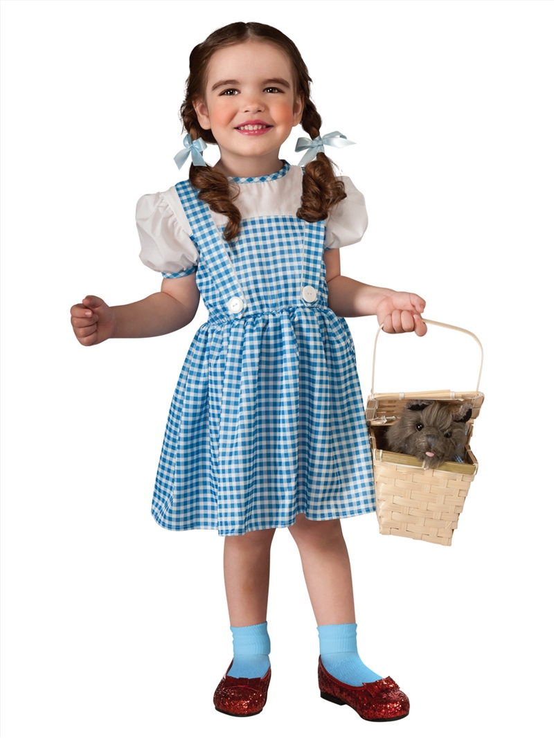 Dorothy Costume - Size Toddler/Product Detail/Costumes