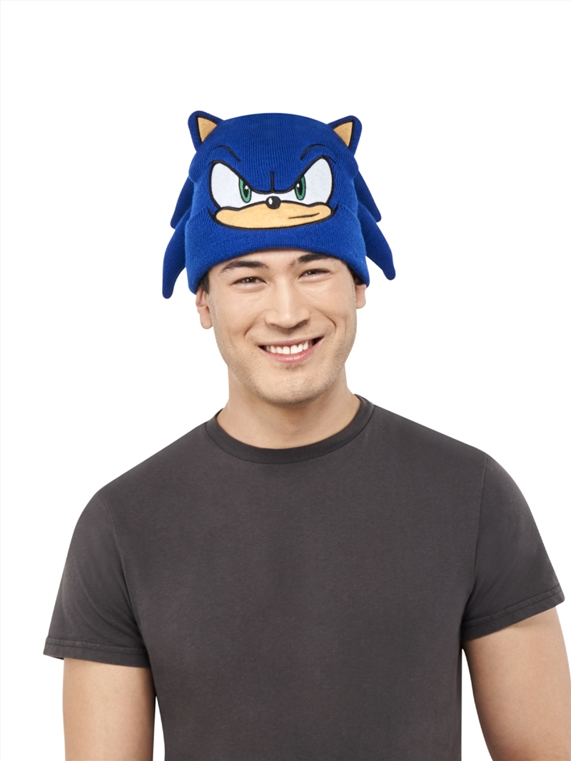 Sonic The Hedgehog Hat - Adult/Product Detail/Costumes