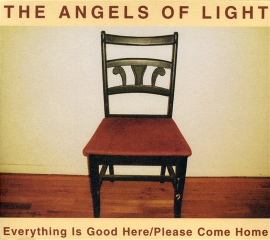 Everything Is Good Here / Please Come Home/Product Detail/Rock/Pop