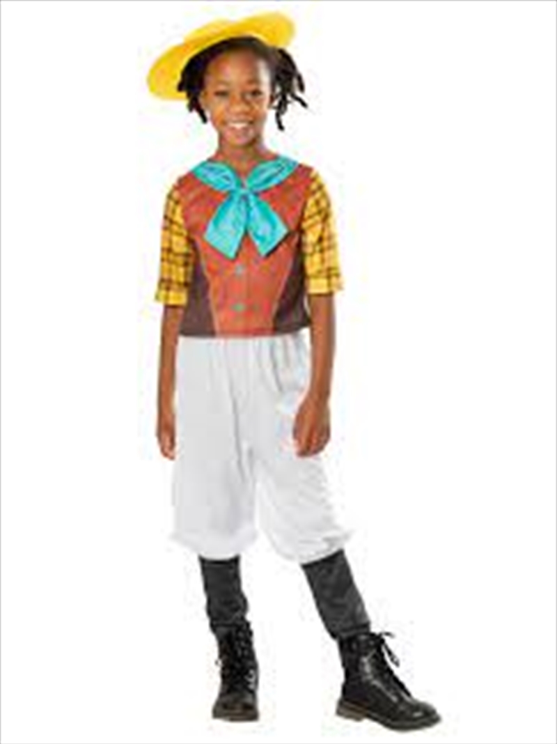 Dino Ranch Min Deluxe Costume - Size 5-6 Yrs/Product Detail/Costumes